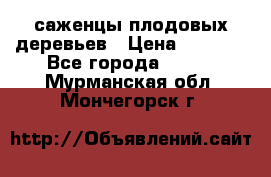 саженцы плодовых деревьев › Цена ­ 6 080 - Все города  »    . Мурманская обл.,Мончегорск г.